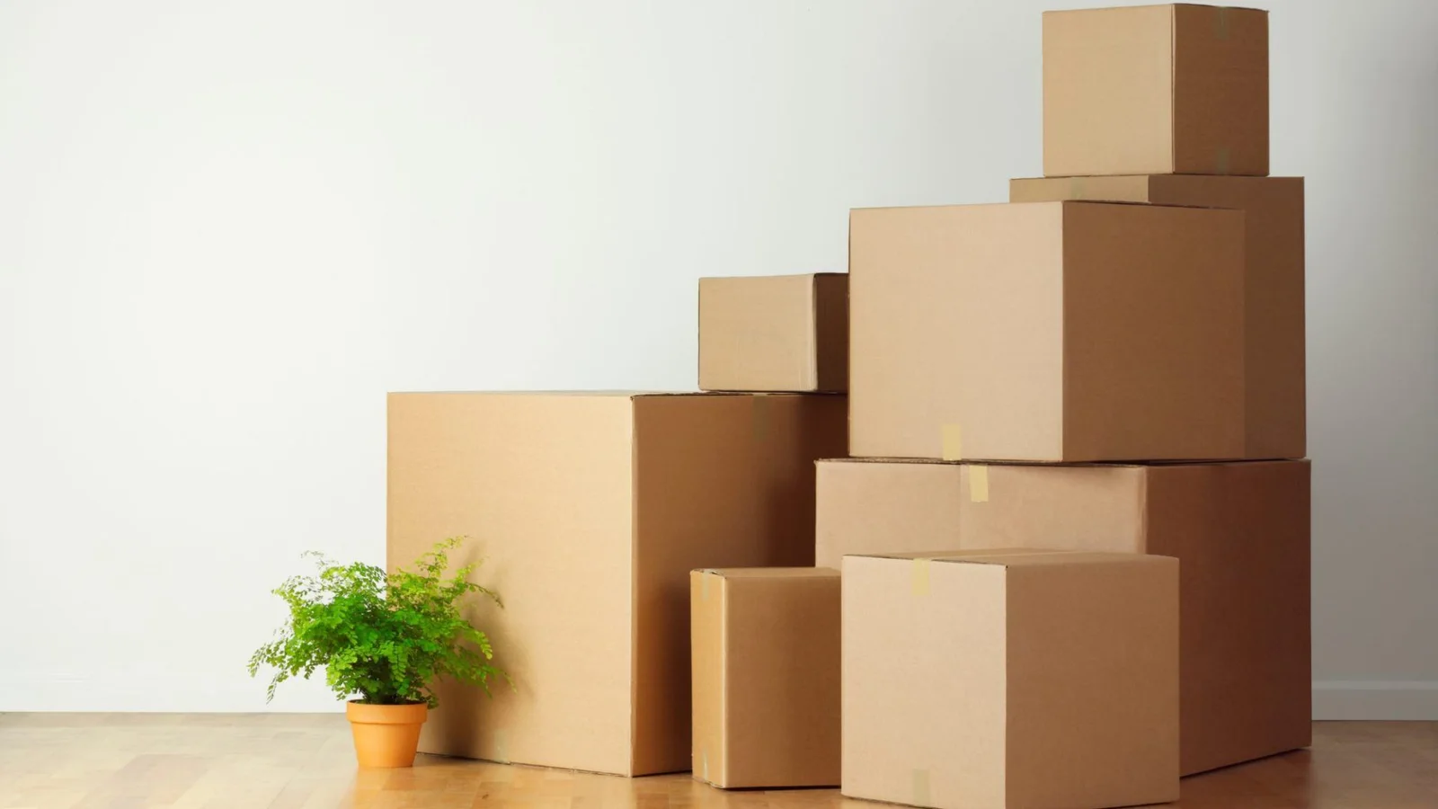 How to Keep Your Boxes Organized article image