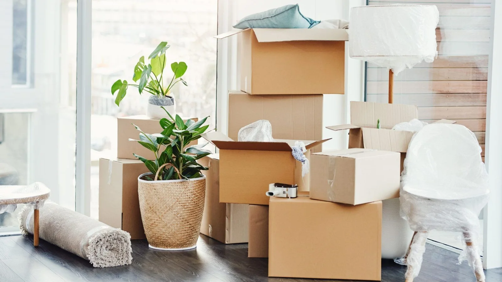 What to Expect on Moving Day article image